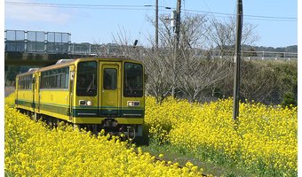 千葉県大多喜町とは？